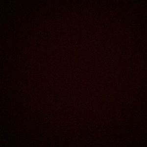 Meet your Posher, Bella